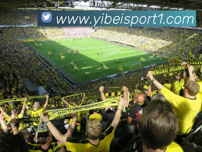 易倍体育APP 体育赛事宣传图